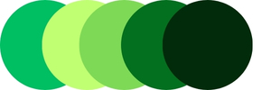 Shop Green Rugs