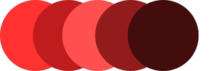 shop red rugs